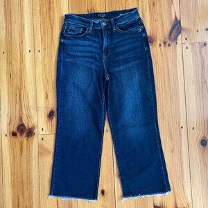 Judy Blue Navy Frayed Edge Size 9/29 Jeans